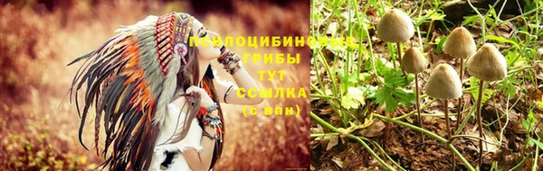 меф Бородино