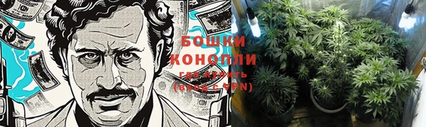 шишки Бугульма