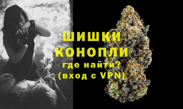 шишки Бугульма
