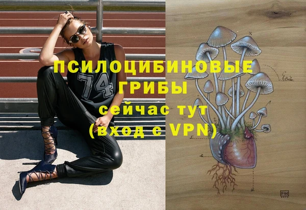 шишки Бугульма